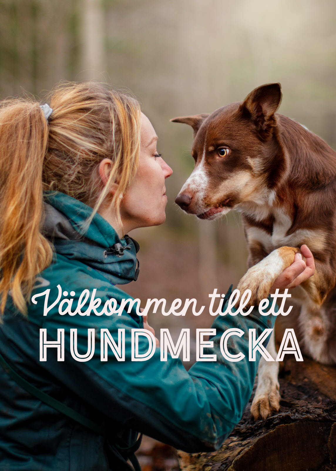 Mellerud – ett hundmecka